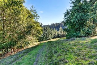 Residential Acreage,  Pole Mountain road, Russian River, CA 95421 - 17