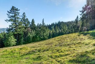 Residential Acreage,  Pole Mountain road, Russian River, CA 95421 - 23