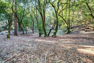 Residential Acreage,  Pole Mountain road, Russian River, CA 95421 - 18