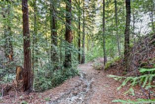 Residential Acreage,  Pole Mountain road, Russian River, CA 95421 - 16