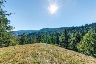 Residential Acreage,  Pole Mountain road, Russian River, CA 95421 - 44