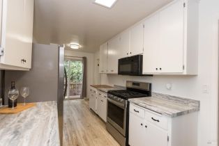 Single Family Residence, Mirabel road, Russian River, CA 95436 - 36