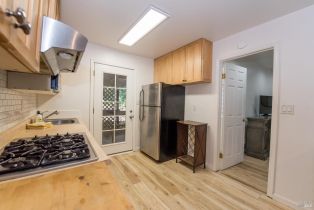 Single Family Residence, Mirabel road, Russian River, CA 95436 - 15