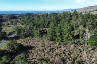 Residential Acreage,  Highway 1 none, Bodega Bay, CA 94923 - 3
