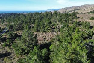 Residential Acreage,  Highway 1 none, Bodega Bay, CA 94923 - 2