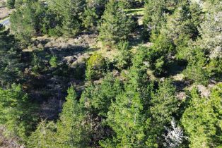 Residential Acreage,  Highway 1 none, Bodega Bay, CA 94923 - 5