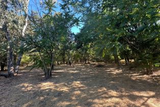 Residential Acreage,  Napa road, Sonoma, CA 95476 - 5