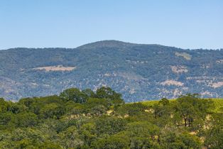 Residential Lot,  Montecito boulevard, Napa, CA 94558 - 30