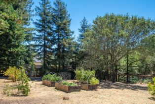 Single Family Residence, Burgundy road, Healdsburg, CA 95448 - 26