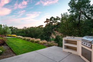 Single Family Residence,  Lakebriar place, Santa Rosa, CA 95403 - 45