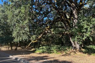Residential Acreage,  Napa road, Sonoma, CA 95476 - 2
