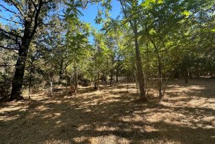 Residential Acreage,  Napa road, Sonoma, CA 95476 - 7