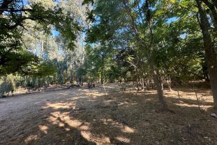 Residential Acreage,  Napa road, Sonoma, CA 95476 - 4