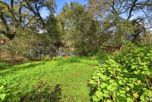Single Family Residence, Enterprise road, Glen Ellen, CA 95442 - 37