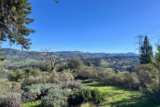 Residential Lot, Skyfarm drive, Santa Rosa, CA 95403 - 8