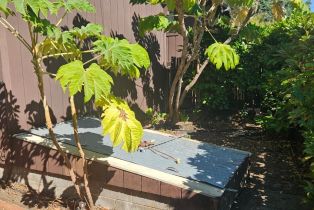 Single Family Residence,  Center street, Healdsburg, CA 95448 - 38