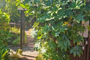 Single Family Residence,  Center street, Healdsburg, CA 95448 - 31