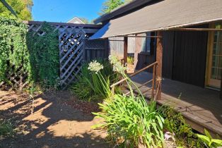 Single Family Residence,  Center street, Healdsburg, CA 95448 - 27