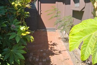 Single Family Residence,  Center street, Healdsburg, CA 95448 - 41