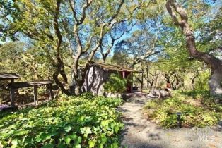 Single Family Residence,  Oak Glen drive, Santa Rosa, CA 95404 - 31