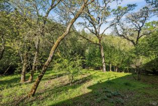 Single Family Residence, 1145 Hill road, Glen Ellen, CA 95442 - 71