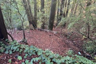 Residential Lot,  Monte Vista terrace, Russian River, CA 95462 - 9