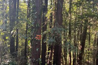 Residential Lot,  Monte Vista terrace, Russian River, CA 95462 - 3