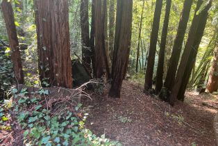 Land, 21866 Monte Vista Ter, Russian River, CA  Russian River, CA 95462