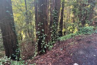 Residential Lot,  Monte Vista terrace, Russian River, CA 95462 - 7