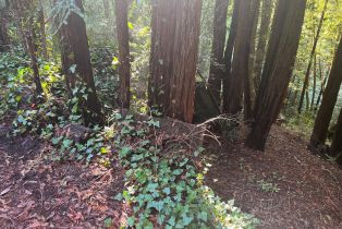 Residential Lot,  Monte Vista terrace, Russian River, CA 95462 - 6