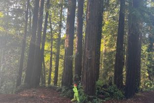 Residential Lot,  Monte Vista terrace, Russian River, CA 95462 - 11