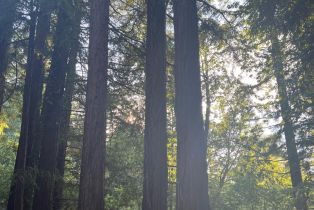 Residential Lot,  Monte Vista terrace, Russian River, CA 95462 - 4