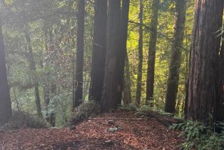 Residential Lot,  Monte Vista terrace, Russian River, CA 95462 - 12