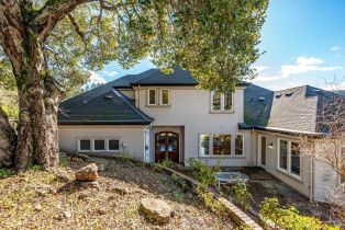 Single Family Residence,  Golf View terrace, Santa Rosa, CA 95405 - 43