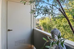 Condominium,  Petaluma boulevard, Petaluma, CA 94952 - 24