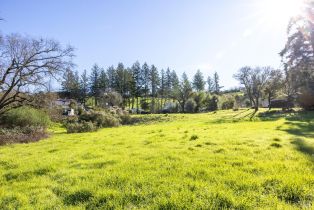Residential Lot,  Skyfarm drive, Santa Rosa, CA 95403 - 9