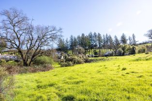 Residential Lot,  Skyfarm drive, Santa Rosa, CA 95403 - 8