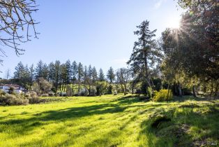 Residential Lot,  Skyfarm drive, Santa Rosa, CA 95403 - 13