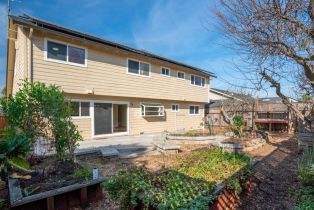 Single Family Residence, Sarkesian drive, Petaluma, CA 94954 - 46