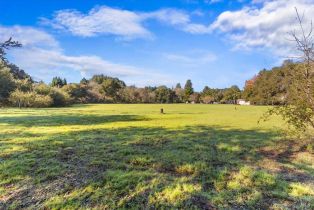 Residential Lot,  Dry Creek road, Healdsburg, CA 95448 - 16