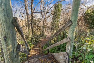 Residential Lot,  Dry Creek road, Healdsburg, CA 95448 - 18