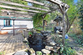 Single Family Residence, Armstrong Woods road, Russian River, CA 95446 - 34