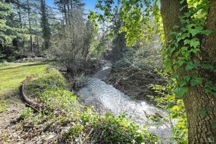 Single Family Residence, Armstrong Woods road, Russian River, CA 95446 - 24