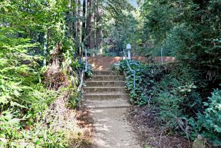 Single Family Residence, Armstrong Woods road, Russian River, CA 95446 - 27