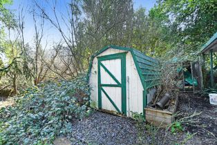 Single Family Residence, Armstrong Woods road, Russian River, CA 95446 - 38