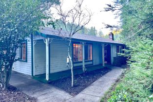 Single Family Residence, Armstrong Woods road, Russian River, CA 95446 - 40