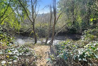 Single Family Residence, Armstrong Woods road, Russian River, CA 95446 - 35