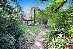 Single Family Residence, Armstrong Woods road, Russian River, CA 95446 - 28