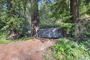Single Family Residence, Armstrong Woods road, Russian River, CA 95446 - 21