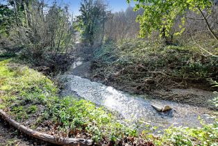 Single Family Residence, Armstrong Woods road, Russian River, CA 95446 - 19